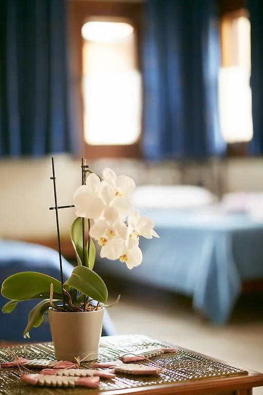 Archodiko Toliadi Boutique Apartments And Suites Ouranoupoli